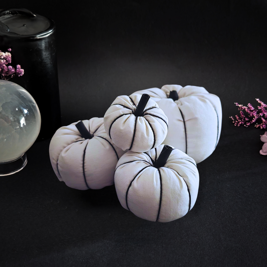 CUCURBITA MORTIS - CALABAZAS DECORATIVAS