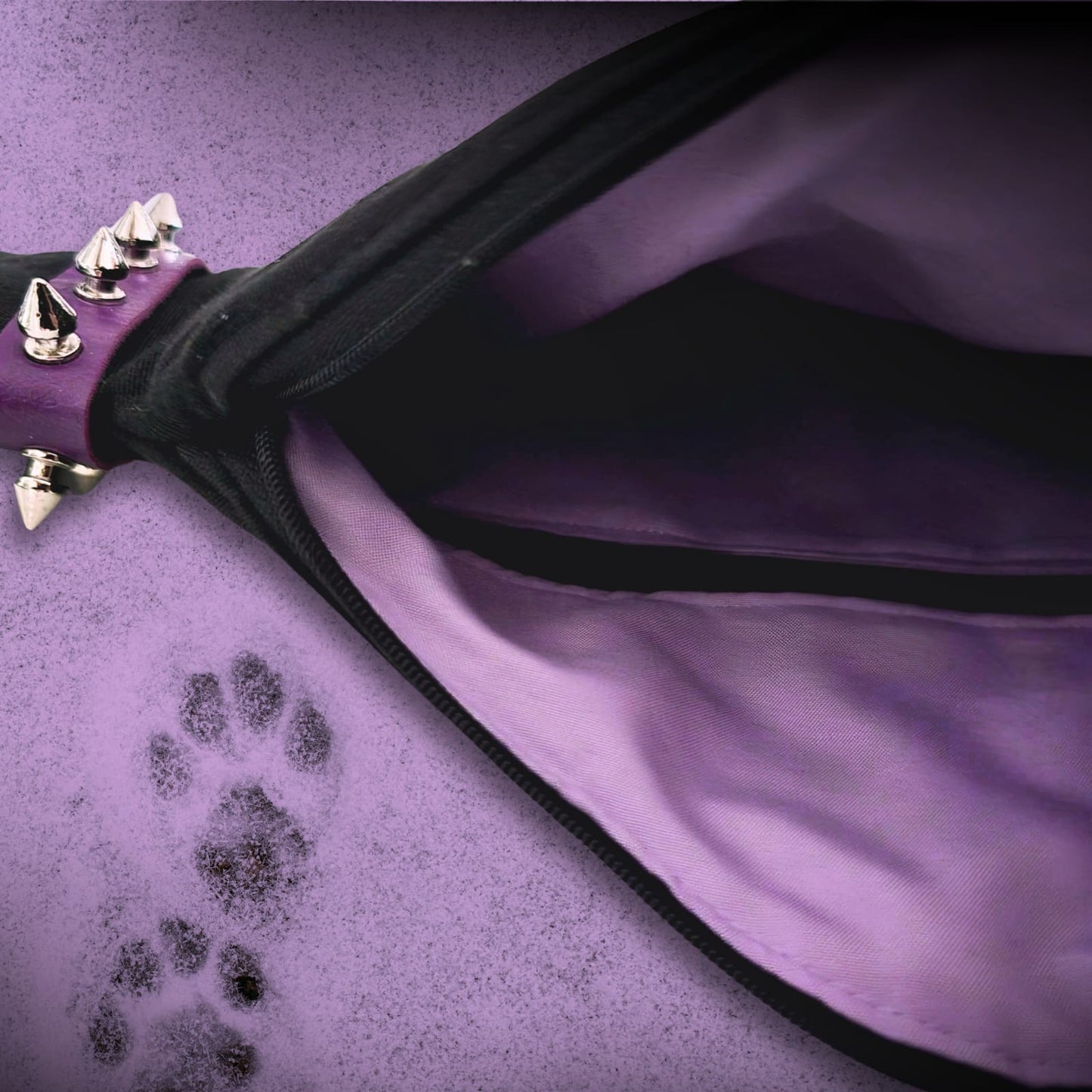 CREPUSCULARIS - BOLSO GATO