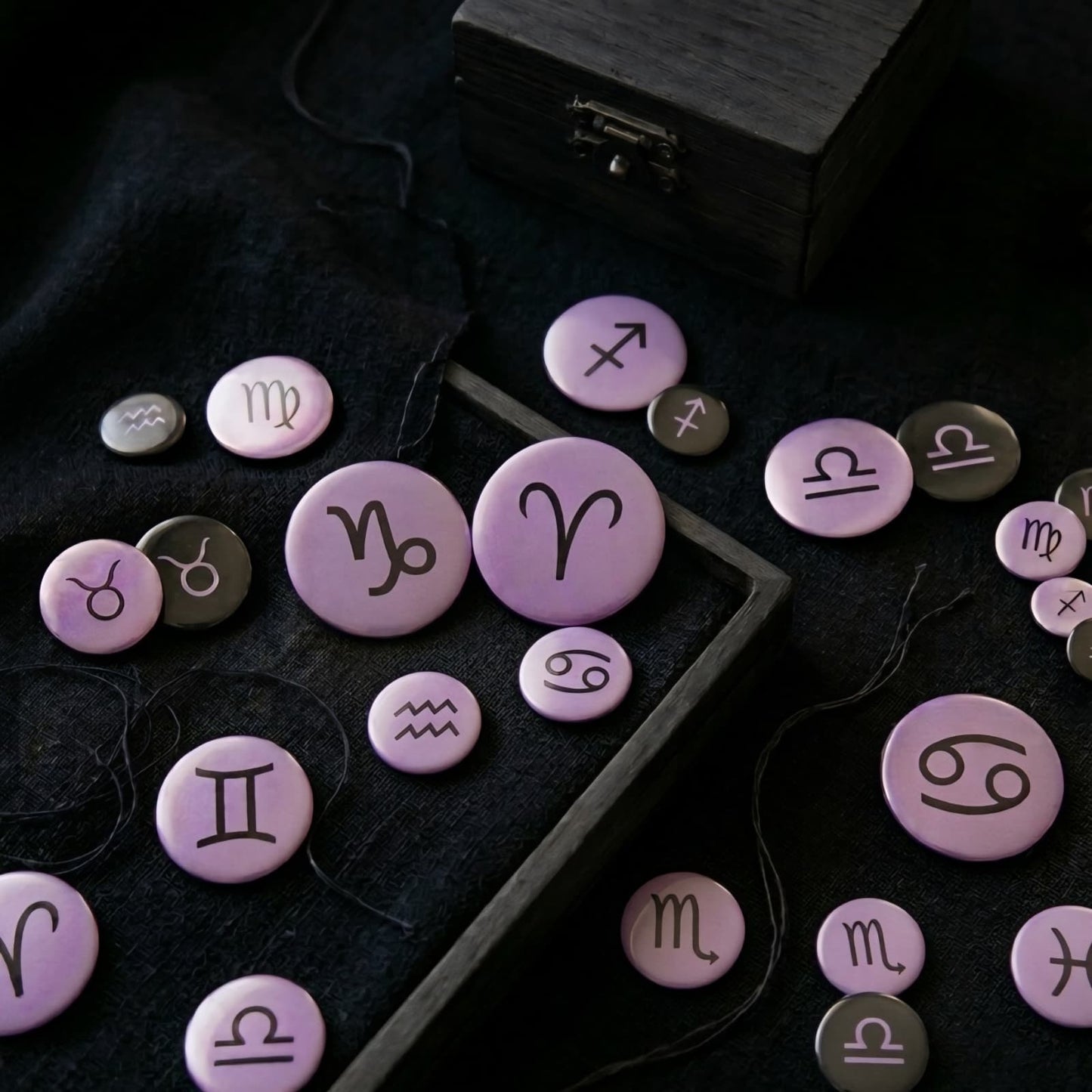 SIGNA OBSCURA (CHAPAS)