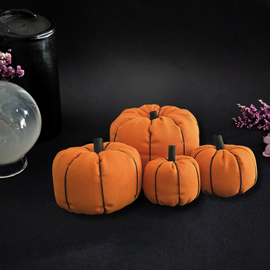 CUCURBITA MORTIS - CALABAZAS DECORATIVAS